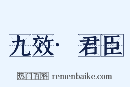 九效·君臣是什么意思的图片